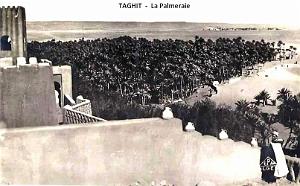 TAGHIT -LA PALMERAIE